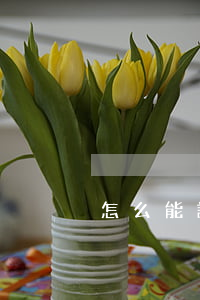 怎么能讓信用卡停息掛賬