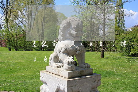 怎么自學(xué)律師入門(如何自學(xué)律師)