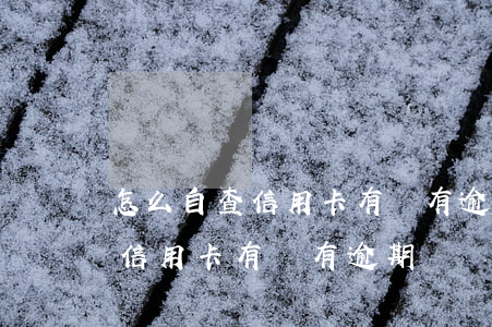 怎么自查信用卡有沒有逾期(如何查詢自己的信用卡有沒有逾期)