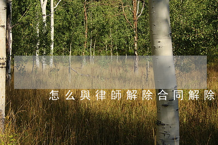 怎么與律師解除合同(解除合同的律師)