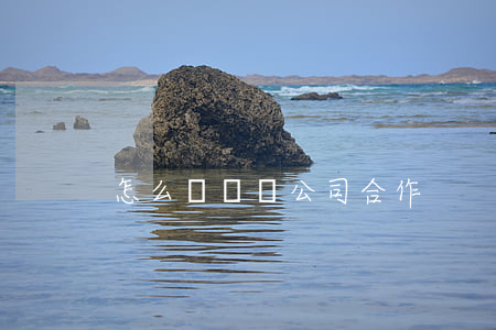 怎么與裝飾公司合作