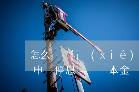 怎么與銀行協(xié)商停息還款-如何申請停息掛賬還本金