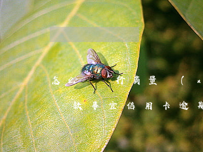 怎么與銀行商量協(xié)商信用卡逾期還款事宜（信用卡逾期怎么直接跟銀行溝通）
