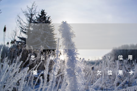怎么舉報(bào)信用卡透支人員(如何舉報(bào)欠信用卡的人)
