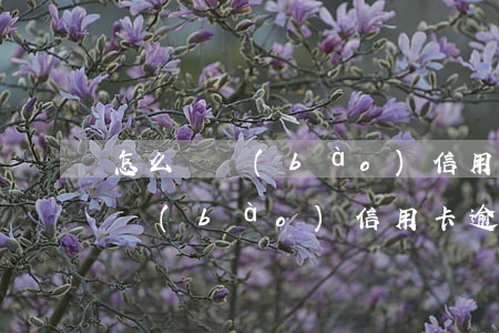 怎么舉報(bào)信用卡逾期的人 怎么舉報(bào)信用卡逾期的人電話