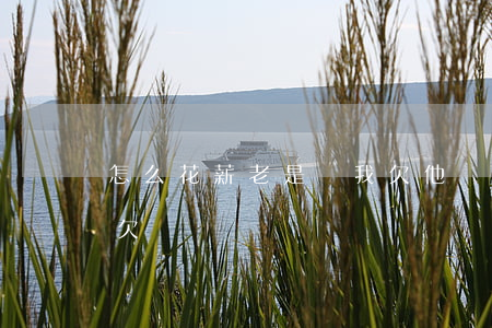 怎么花薪老是說我欠他錢(別人說我欠錢我沒欠)