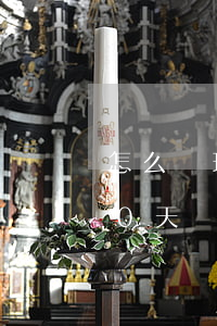 怎么處理京東白條逾期上門(京東白條逾期20天說要上門)