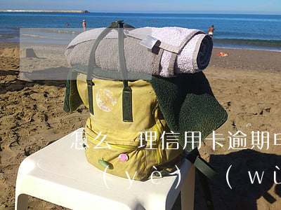 怎么處理信用卡逾期申請(qǐng)辦理業(yè)務(wù)24個(gè)分期(信用卡逾期辦不了分期怎么辦)