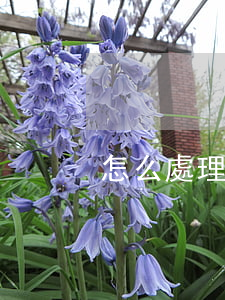 怎么處理房屋租賃合同糾紛