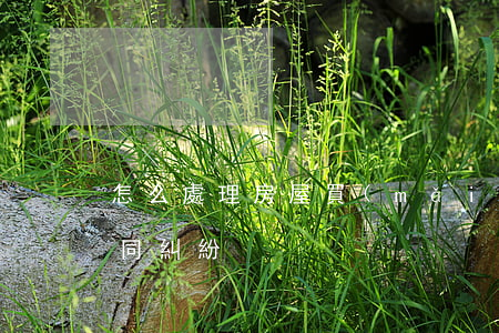 怎么處理房屋買(mǎi)賣(mài)合同糾紛
