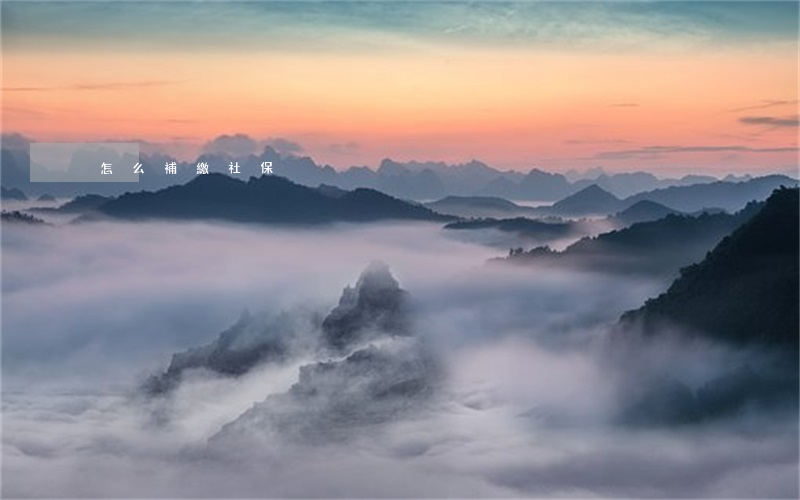 怎么補繳社保