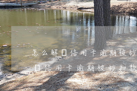 怎么解決信用卡逾期被秒扣款問題-怎么解決信用卡逾期被秒扣款問題呢