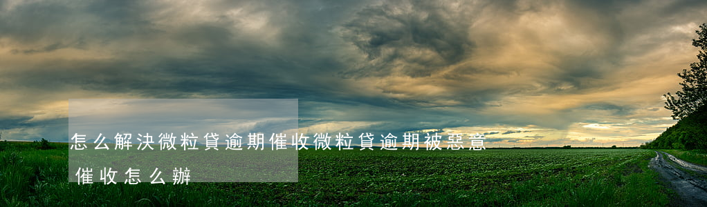 怎么解決微粒貸逾期催收(微粒貸逾期被惡意催收怎么辦)