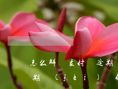怎么解決支付寶逾期還款(支付寶逾期還了逾期費(fèi)為什么還要我還全款)
