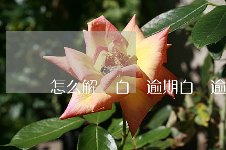 怎么解鎖白條逾期(白條逾期解鎖失敗)