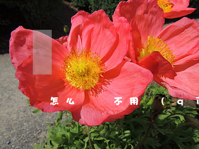怎么討債不用請(qǐng)律師