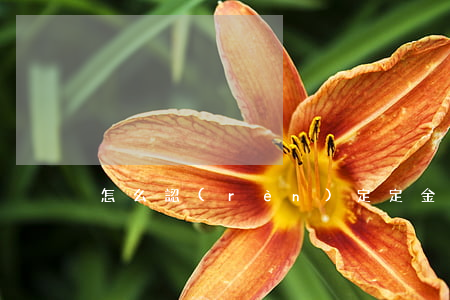 怎么認(rèn)定定金呢