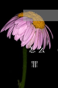 怎么認(rèn)定網(wǎng)戀詐騙罪