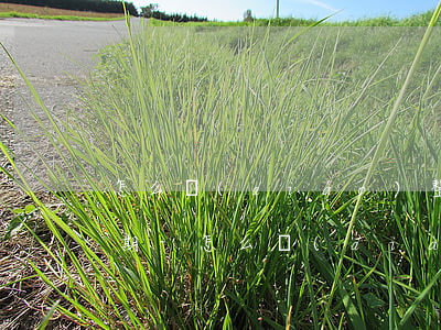怎么調(diào)整借唄和花唄的還款日期-怎么調(diào)整借唄和花唄的還款日期和時間