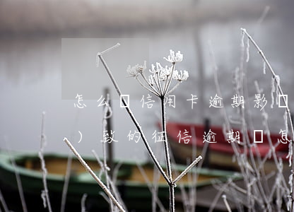 怎么談信用卡逾期影響征信(銀行導(dǎo)致的征信逾期,該怎么辦)
