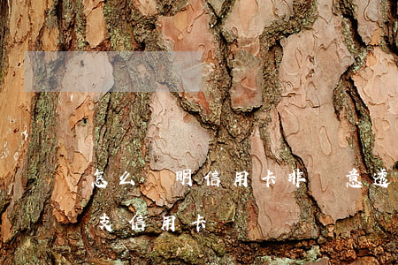 怎么證明信用卡非惡意透支(怎么定性惡意透支信用卡)