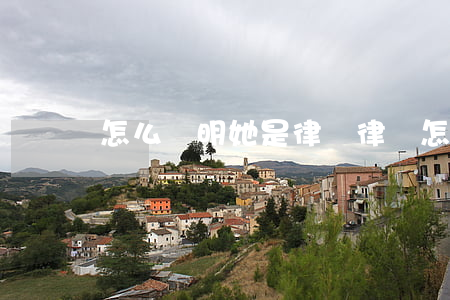 怎么證明她是律師(律師怎么證明自己是律師)