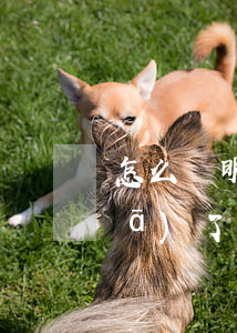 怎么證明對方收到了律師函(對方給我發(fā)了律師函我該怎么處理)