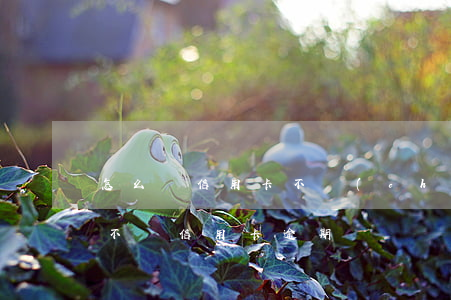 怎么讓信用卡不產(chǎn)生利息（怎樣不讓信用卡逾期）