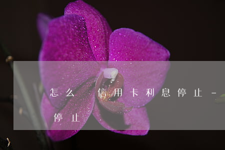 怎么讓信用卡利息停止-怎么讓信用卡利息停止