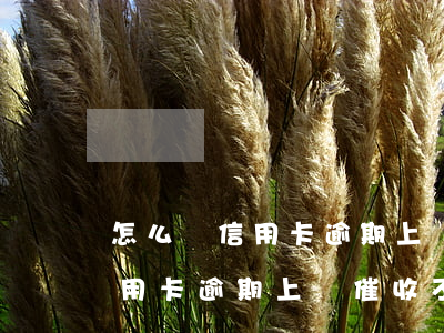 怎么讓信用卡逾期上門催收不來-怎么讓信用卡逾期上門催收不來電話