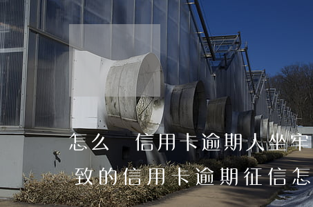 怎么讓信用卡逾期人坐牢(坐牢導(dǎo)致的信用卡逾期征信怎么處理)