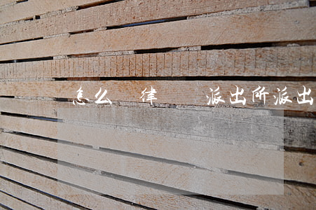 怎么讓律師來派出所(派出所有律師咨詢嗎)