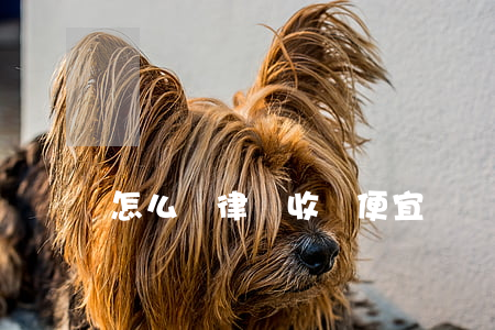 怎么讓律師收費便宜點