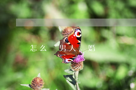 怎么讓男人離婚