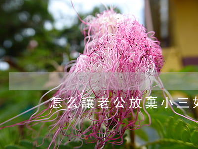 怎么讓老公放棄小三(如何讓老公放棄小三)