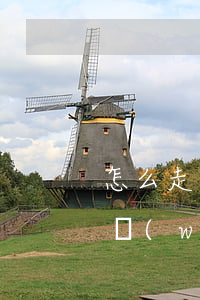 怎么走出網(wǎng)貸困境-怎么走出網(wǎng)貸困境呢