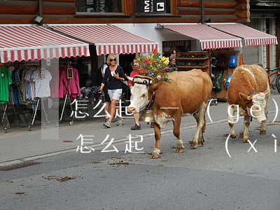 怎么起訴一個(gè)人不還錢(別人不還錢怎么起訴 詳細(xì)流程)