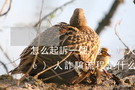 怎么起訴一個(gè)人詐騙(要告一個(gè)人詐騙流程是什么)