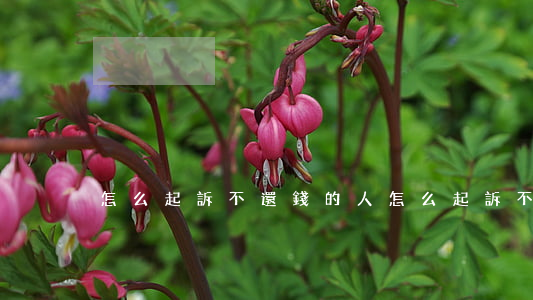 怎么起訴不還錢的人(怎么起訴不還錢的人)