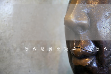 怎么起訴京東第三方(怎么起訴京東第三方)