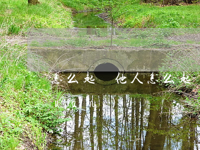 怎么起訴他人(怎么起訴他人侵犯肖像權(quán))