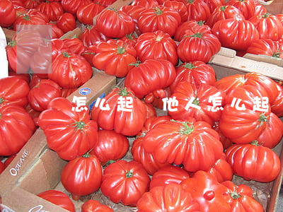 怎么起訴他人(怎么起訴他人造謠)