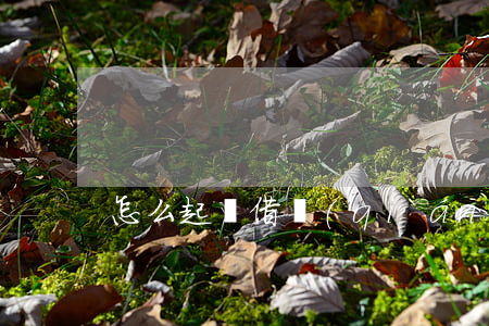 怎么起訴借錢(qián)的