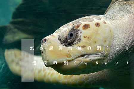 怎么起訴借錢的網(wǎng)友(怎么起訴借錢的網(wǎng)友呢)