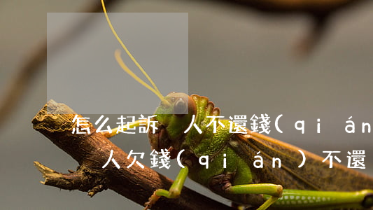 怎么起訴別人不還錢(qián)(怎么起訴別人欠錢(qián)不還)