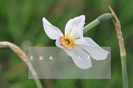 怎么起訴別人不還錢