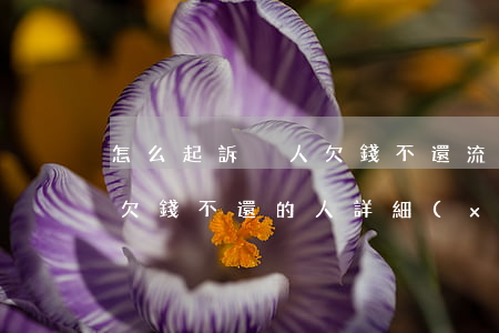 怎么起訴別人欠錢不還流程(怎么去起訴一個欠錢不還的人,詳細(xì)流程是什么?)