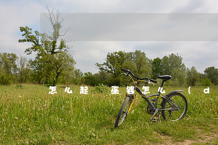 怎么起訴巫婆(怎么對(duì)付巫婆)