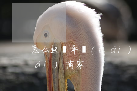 怎么起訴平臺(tái)(怎么起訴平臺(tái)商家)