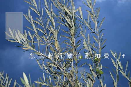 怎么起訴微信亂扣費(fèi)